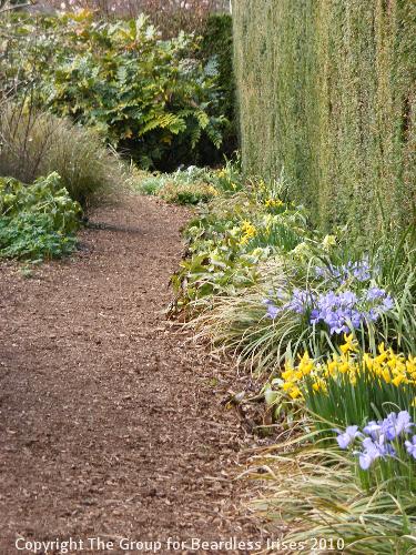 Cambridge Botanic (3)